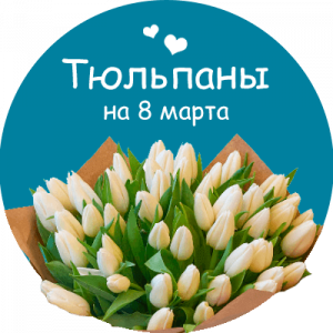 Купить тюльпаны в Кондрово